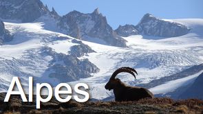 Géants de Glace du Mont-Blanc