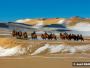 Mongols montant des chameaux sur des dunes de sable dans le désert de Gobi en hiver