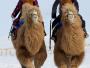 Mongols montant des chameaux dans le désert de Gobi en hiver